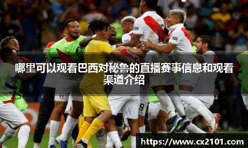 哪里可以观看巴西对秘鲁的直播赛事信息和观看渠道介绍